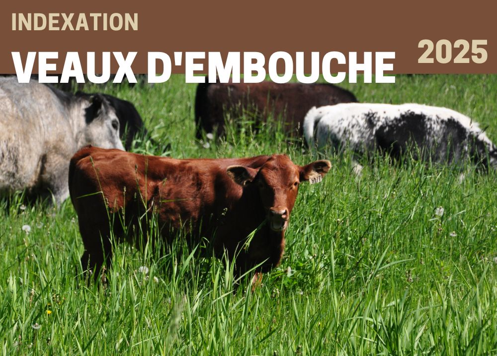 étude : INDEXATION 2025 - VEAUX D'EMBOUCHE